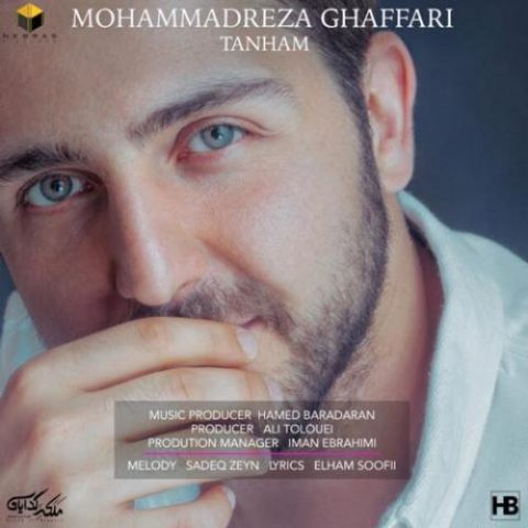 محمدرضا غفاری - تنهام